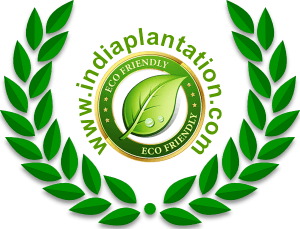 india plantation new logo