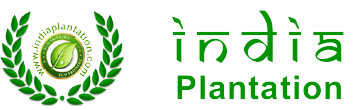 india plantation organisation