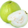 Advance booking of Plants Online - Image 7