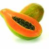 Advance booking of Plants Online - Image 4