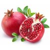 Advance booking of Plants Online - Image 3