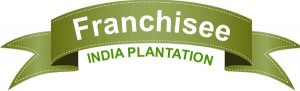 india plantation franchisee