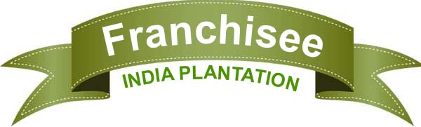 india plantation franchisee