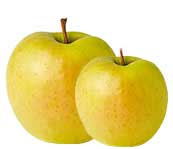 golden-apple